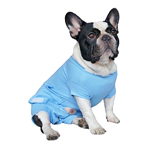 cat-or-dog.boutique Weste, T-Shirt, Regenbekleidung, gegen Kratzen, für männliche Hunde von cat-or-dog.boutique