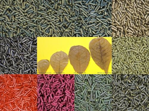Catappa-Mineral Mix-Sticks 50g Pellets für Garnelen Krebse Schnecken & Co Futtersticks von Catappa-Leaves