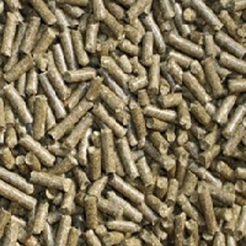 catappa-leaves Karottensticks (Karotte Kräuter) 50g Pellets für Garnelen Krebse Schnecken & Co Futtersticks von catappa-leaves