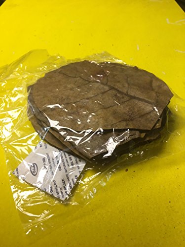 catappa-leaves Seemandelbaumblätter 10 Stück 10-15cm natürlich gereifte und getrocknete Spitzenqualität Indian Almond catappa-leaves Seemandelbaumblätter 10 Stück 10-15cm natürlich gereifte und getrocknete Spitzenqualität Indian Almond von catappa-leaves