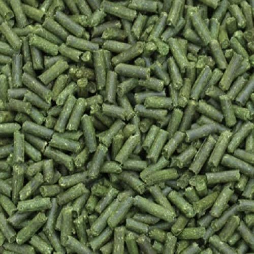 Premium Futtersticks Gerstengras (50 Gramm) Futterpellets Garnelenfutter Fischfutter von catappa-leaves