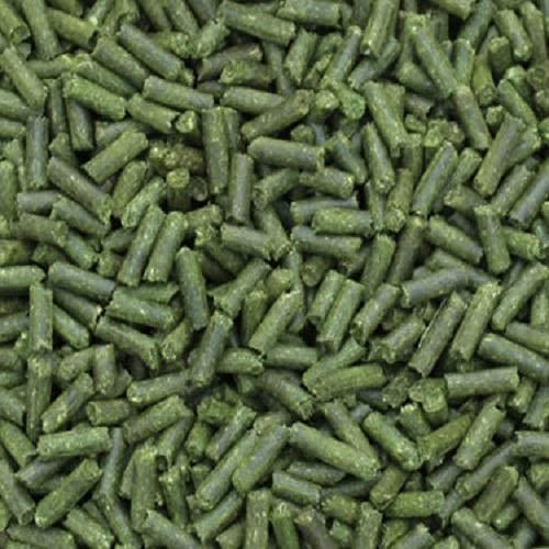 catappa-leaves Premium Futtersticks Gerstengras (50 Gramm) Futterpellets Garnelenfutter Fischfutter von catappa-leaves