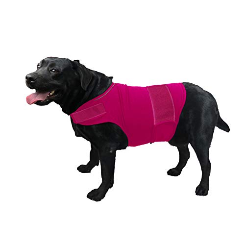 cattamao Komfortabler Hundemantel zur Linderung von Angstzuständen, beruhigende Weste für Hunde, Thunder Shirts, Jacke für XS, S, M, L, XL (Rose XL) von cattamao