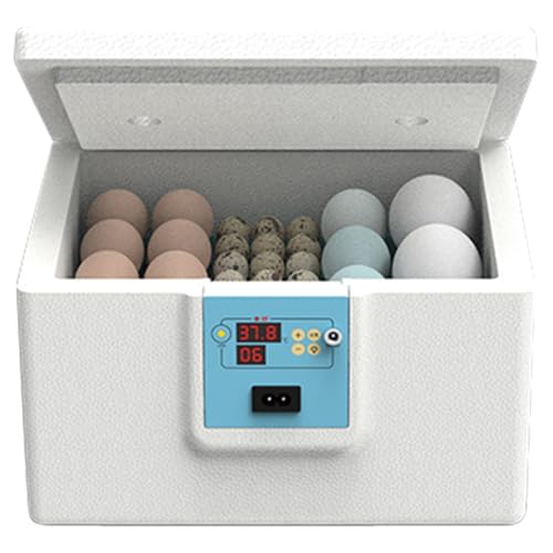 Egg Incubator Machine, Semi-Automatic Thermostatic Incubator for Hatching Quail Duck Pigeon Eggs, Household Farm Science Lab Classroom Equipment for Poultry Breeding and Education von ccuzs