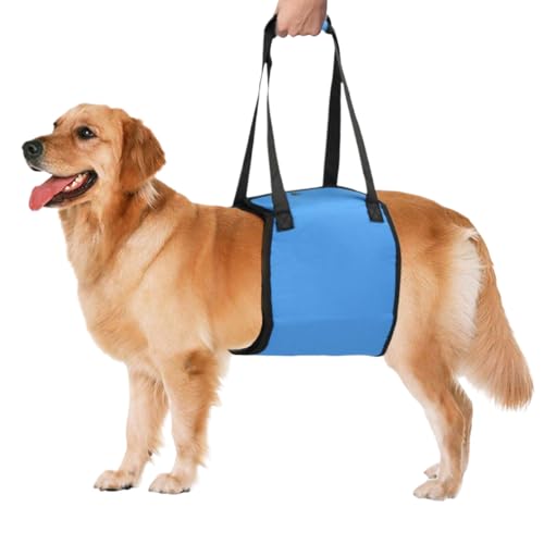 Haustiertragegurt für Hunde, weich gepolstert, für Mobilität, rutschfest, für Spaziergänge, Wandern, Erholung und Abenteuer im Freien von ccuzs