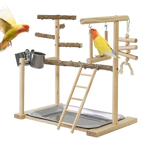 Spielplatz-Design, Papageien-Spielplatz, Vogel-Fitnessstudio mit Schaukel und Kauspielzeug, Papageien-Spielstudio mit Tablett und Tassen, Nymphensittich-Übungsspielzeug für Nymphensittiche, Lovebirds, Spielplatz-Design, Papageien-Spielplatz, Vogel-Fitnessstudio mit Schaukel und Kauspielzeug, Papageien-Spielstudio mit Tablett und Tassen, Nymphensittich-Übungsspielzeug für Nymphensittiche, Lovebirds, von ccuzs