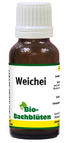 Bio-Bachblüten Weichei 20ml | für Tiere von cdVet