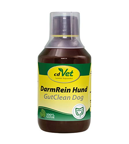cdVet Naturprodukte DarmRein Hund 250 ml - Hund - Ergänzungsfuttermittel - Unterstützung der Futteraufnahme + der natürlichen Darmflora - Verdauungsstörungen - Durchfall - Brechreiz - Darmprobleme - cdVet Naturprodukte DarmRein Hund 250 ml - Hund - Ergänzungsfuttermittel - Unterstützung der Futteraufnahme + der natürlichen Darmflora - Verdauungsstörungen - Durchfall - Brechreiz - Darmprobleme - von cdVet