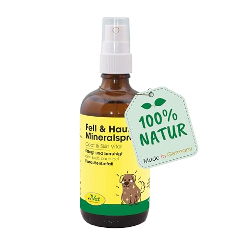 cdVet Naturprodukte Fell & Haut Mineralspray 100 ml - Natürliche Pflege für Hunde & Pferde - Beruhigt Haut & Schützt Fell - Insektenschutz & Reinigung cdVet Naturprodukte Fell & Haut Mineralspray 100 ml - Natürliche Pflege für Hunde & Pferde - Beruhigt Haut & Schützt Fell - Insektenschutz & Reinigung von cdVet