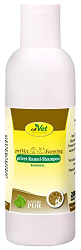cdVet Naturprodukte Kamel Shampoo Konzentrat 200 ml - Kamel - Pflegeshampoo - empfindliche Haut - pflegt die Haut + verleiht dem fell Glanz - beugt Schuppenbildung vor - nachfettende Wirkung - von cdVet