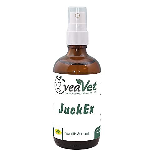 cdVet Naturprodukte VeaVet JuckEx 100 ml - Hund, Katze, Pferde - Pflegespray - bei pilz- und keimgefährdeten Hautstellen - Schutz - Regeneration - wunde Haut - gesunde Keime von cdVet