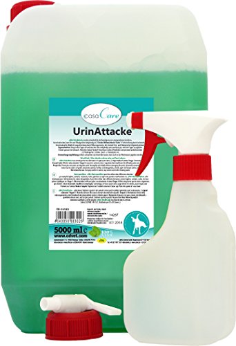 cdVet Naturprodukte casaCare UrinAttacke Sprühflasche Kanister m. Sprühfl. 5 Liter - Hund, Katze - bei Urin + Kotgestank - Geruch - unbedenklicher Gebrauch - präventiv + behandelnd + sparsam - von cdVet