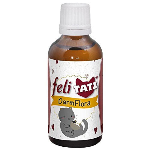 cdVet Naturprodukte feliTATZ GutFlora 50 ml - Katze - gesunde Darmflora - Gute Verdauung - nützliche Bakterien - Verdauungssäfte - Enzyme - Darmschleimhaut - Abwehrmechanismus - gesund - cdVet Naturprodukte feliTATZ GutFlora 50 ml - Katze - gesunde Darmflora - Gute Verdauung - nützliche Bakterien - Verdauungssäfte - Enzyme - Darmschleimhaut - Abwehrmechanismus - gesund - von cdVet