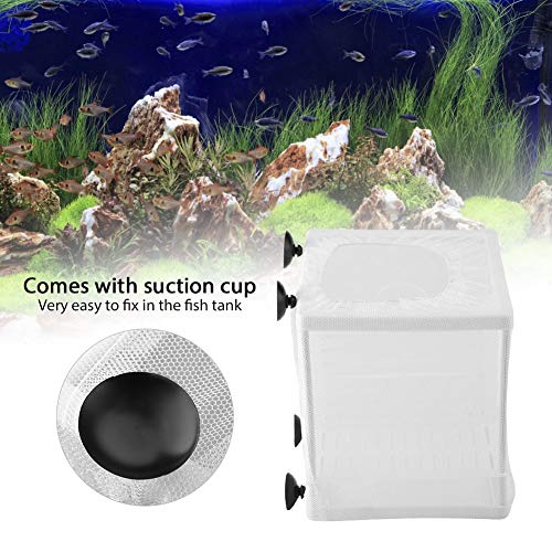 Fischzucht-Inkubator, mit Saugnapf-Isolationsgitterbox, Kunststoff 1 Stück für Aquarium-Aquarium von GZD