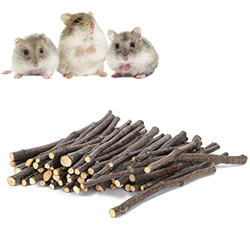 cersalt Hamster Kaustäbchen, Pet Grinding Sticks Natürliches Apfelholz für Chinchillas für Kaninchen von GZD