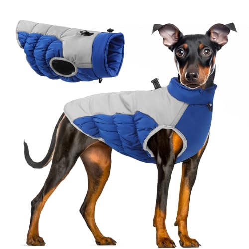 Ceuacu Hundemäntel für kaltes Wetter, gemütlich, wasserdicht, winddicht, wendbar, Winter-Hundejacke, dick gepolstert, warmer Mantel, Blau, Größe XXXL von ceuacu