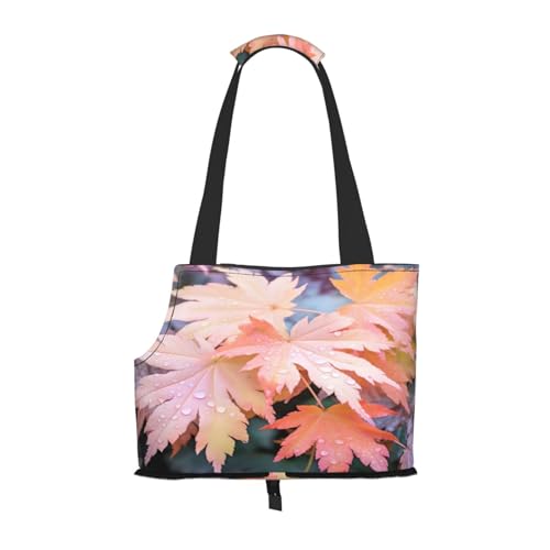 Autumn Rainny Maple Leaves Pet Carrier for Small Dogs Cats Puppy Sturdy Dog Purse Vielseitige Cat Carrier Purse Soft Pet Travel Tote Bag von cfpolar