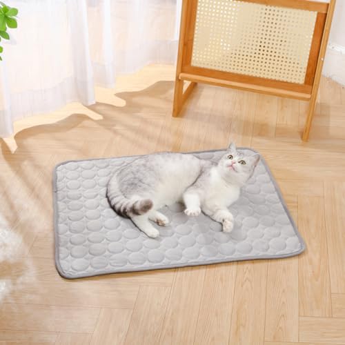 2 Stück Generisch Hundekühlmatte, Tragbares Hundekühlebett, Machine Washable Cooling Dog Bed, für Wohnzimmer Schlafzimmer Terrasse Garten Haus (Grau,40x30 cm) von champracer