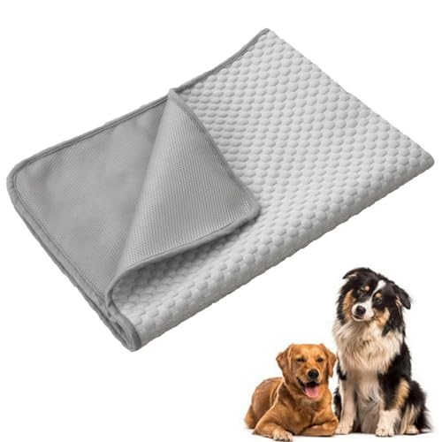 champracer 2 Stück Kühlmatte Hund, Die Innovative Kühlmatte Für Hunde, Ungiftig Kühlkissen für Haustiere, Selbstkühlend Kühlendes Hundebett, für Drinnen, Draußen und Auto (Grau,150x100 cm) von champracer