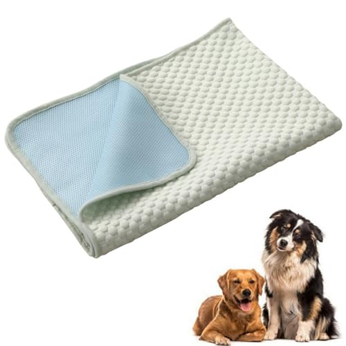 champracer 2 Stück Kühlmatte Hund, Die Innovative Kühlmatte Für Hunde, Ungiftig Kühlkissen für Haustiere, Selbstkühlend Kühlendes Hundebett, für Drinnen, Draußen und Auto (Hellgrün,40x30 cm) champracer 2 Stück Kühlmatte Hund, Die Innovative Kühlmatte Für Hunde, Ungiftig Kühlkissen für Haustiere, Selbstkühlend Kühlendes Hundebett, für Drinnen, Draußen und Auto (Hellgrün,40x30 cm) von champracer