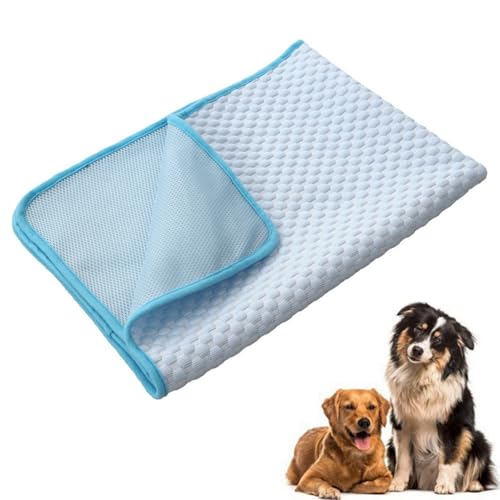 champracer 2 Stück Kühlmatte Hund, Die Innovative Kühlmatte Für Hunde, Ungiftig Kühlkissen für Haustiere, Selbstkühlend Kühlendes Hundebett, für Drinnen, Draußen und Auto (Himmelblau,150x100 cm) champracer 2 Stück Kühlmatte Hund, Die Innovative Kühlmatte Für Hunde, Ungiftig Kühlkissen für Haustiere, Selbstkühlend Kühlendes Hundebett, für Drinnen, Draußen und Auto (Himmelblau,150x100 cm) von champracer