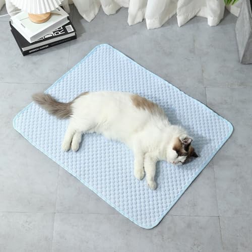 champracer 2 Stück Kühlmatte für Hunde, Kühlmatte Hunde Katzen Haustiere, Selbstkühlende Hundematte, Pet Cooling Mat Hund Cooler Pad für Kisten, Zwinger und Betten (A,60x45 cm) von champracer