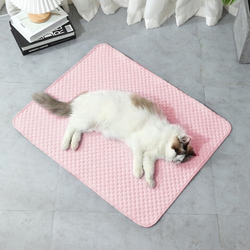 champracer 2 Stück Kühlmatte für Hunde, Kühlmatte Hunde Katzen Haustiere, Selbstkühlende Hundematte, Pet Cooling Mat Hund Cooler Pad für Kisten, Zwinger und Betten (B,60x45 cm) von champracer