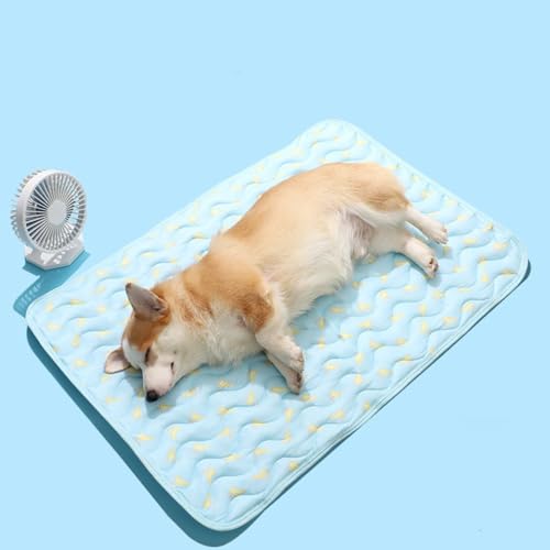 champracer Hundedecke, Kühlmatte für Hunde, Selbstkühlende Haustier-Kühlmatte, Gel-Kühlmatte Pet Cooling Mat Hund Cooler Pad für Kisten, Zwinger und Betten (A,40x26 cm) von champracer