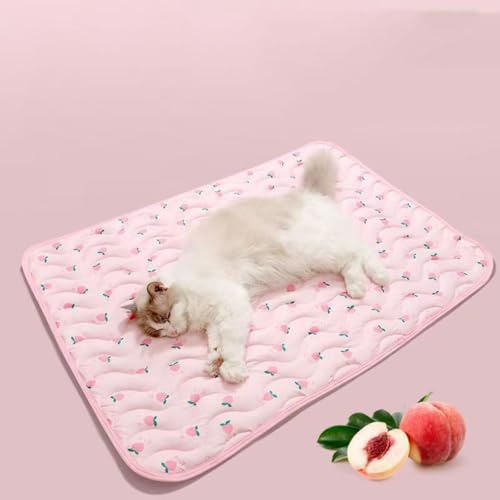champracer Hundedecke, Kühlmatte für Hunde, Selbstkühlende Haustier-Kühlmatte, Gel-Kühlmatte Pet Cooling Mat Hund Cooler Pad für Kisten, Zwinger und Betten (B,19x14 cm) von champracer
