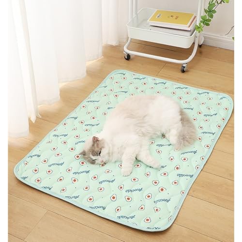 champracer Hundedecke, Kühlmatte für Hunde, Selbstkühlende Haustier-Kühlmatte, Gel-Kühlmatte Pet Cooling Mat Hund Cooler Pad für Kisten, Zwinger und Betten (C,30x20 cm) von champracer