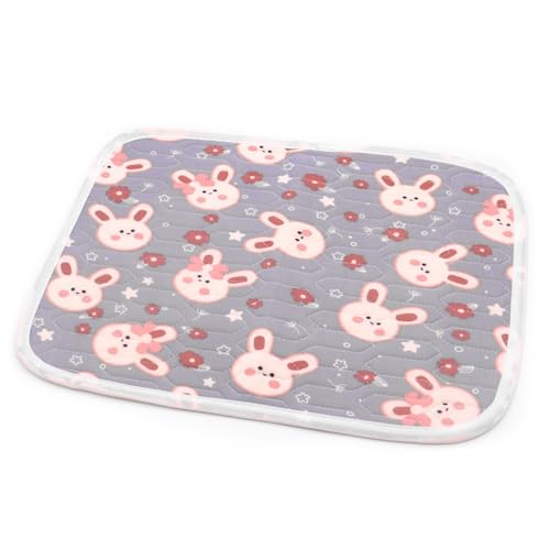 champracer Kühlmatte Hunde Katzen, Sommer Kühlkissen für Hunde, Haustiere Haustier Selbstkühlendes Pad, ür Welpen, Box, Körbchen, Auto, Reisen und heiße Sommertage (B,40x50 cm) von champracer