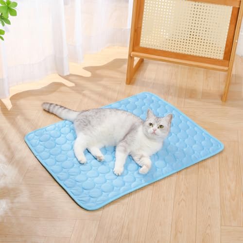 champracer Kühlmatte für Haustiere, Kühlmatte Hund, Ungiftiges Gel-Selbstkühlende Matte für Hunde und Katzen, Dog Cooling Mat für Drinnen, Draußen und Auto (A,40×30 cm) von champracer