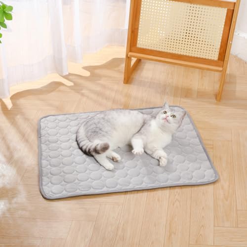 champracer Kühlmatte für Haustiere, Kühlmatte Hund, Ungiftiges Gel-Selbstkühlende Matte für Hunde und Katzen, Dog Cooling Mat für Drinnen, Draußen und Auto (B,40×30 cm) von champracer