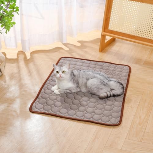champracer Kühlmatte für Haustiere, Kühlmatte Hund, Ungiftiges Gel-Selbstkühlende Matte für Hunde und Katzen, Dog Cooling Mat für Drinnen, Draußen und Auto (D,40×30 cm) von champracer