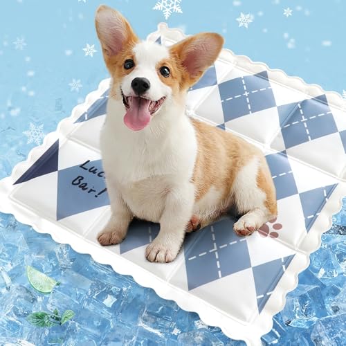champracer Kühlmatte für Hunde & Katzen, Sommer-Kühlmatte, Kühlkissen mit Ungiftiges Gel für Klein Mittelgroße Haustiere, Selbstkühlende Hundematte (A,35x35cm) von champracer