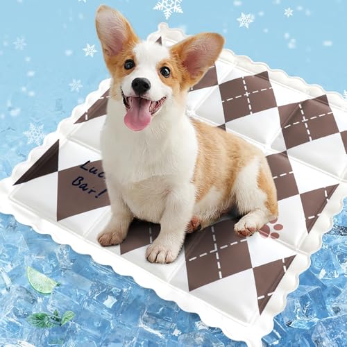 champracer Kühlmatte für Hunde & Katzen, Sommer-Kühlmatte, Kühlkissen mit Ungiftiges Gel für Klein Mittelgroße Haustiere, Selbstkühlende Hundematte (B,35x35cm) von champracer