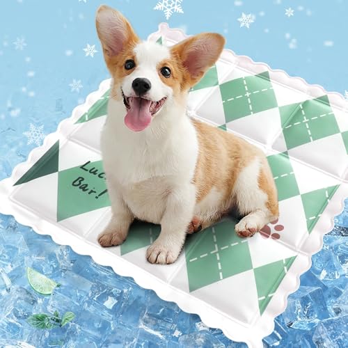 champracer Kühlmatte für Hunde & Katzen, Sommer-Kühlmatte, Kühlkissen mit Ungiftiges Gel für Klein Mittelgroße Haustiere, Selbstkühlende Hundematte (C,35x35cm) von champracer