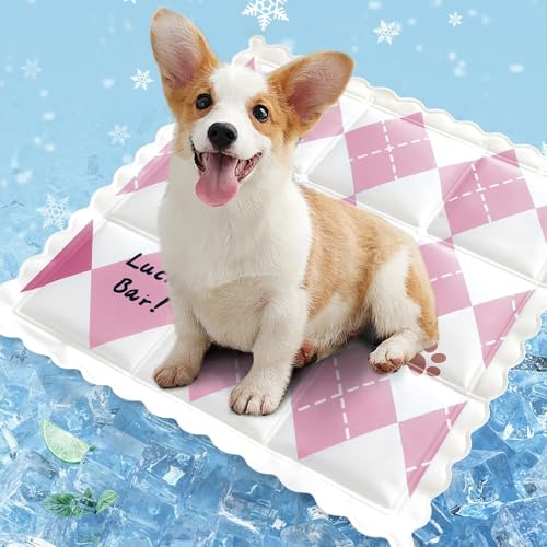 champracer Kühlmatte für Hunde & Katzen, Sommer-Kühlmatte, Kühlkissen mit Ungiftiges Gel für Klein Mittelgroße Haustiere, Selbstkühlende Hundematte (D,35x35cm) von champracer