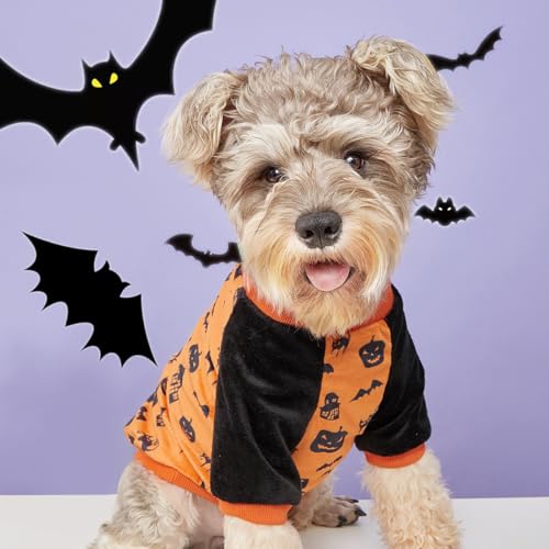 Hunde-Shirts für kleine Hunde, Orange von chanfs