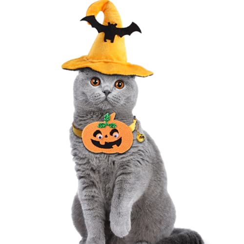 changle Halloween-Zubehör-Set für Hunde und Katzen, mit Fledermaus-Hut, Kürbis-Halsband von changle