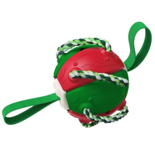 changle Interaktives Frisbee-Fußball-Spielzeug für Training, für draußen, bissfest von changle