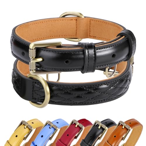 CHEDE Basic Classic Luxuriöses, gepolstertes Hundehalsband aus echtem Leder, strapazierfähiges Hundehalsband, weiches und starkes Lederhalsband mit Metallschnalle, breites Hundehalsband für große, CHEDE Basic Classic Luxuriöses, gepolstertes Hundehalsband aus echtem Leder, strapazierfähiges Hundehalsband, weiches und starkes Lederhalsband mit Metallschnalle, breites Hundehalsband für große, von chede