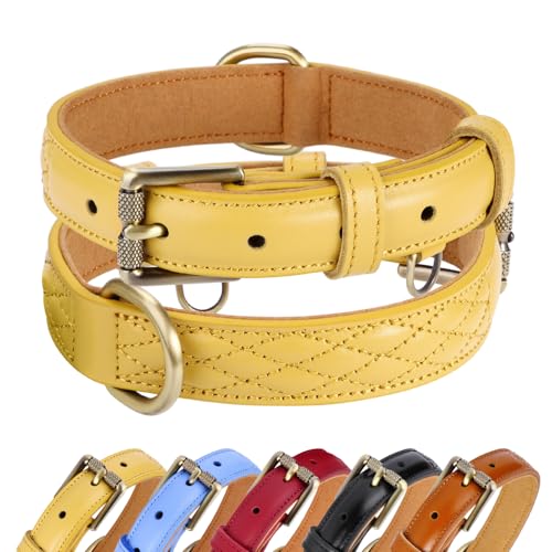 CHEDE Basic Classic Luxus-Hundehalsband, gepolstert, aus echtem Leder, strapazierfähig, weiches und starkes Lederhalsband mit Metallschnalle, breites Hundehalsband für große, mittelgroße und kleine CHEDE Basic Classic Luxus-Hundehalsband, gepolstert, aus echtem Leder, strapazierfähig, weiches und starkes Lederhalsband mit Metallschnalle, breites Hundehalsband für große, mittelgroße und kleine von chede
