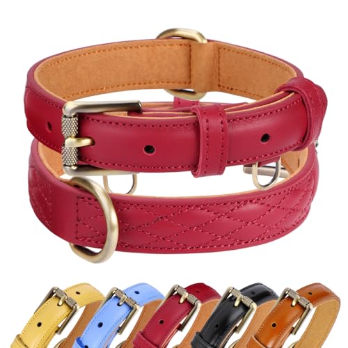 CHEDE Basic Classic Luxus-Hundehalsband, gepolstert, aus echtem Leder, strapazierfähig, weiches und starkes Lederhalsband mit Metallschnalle, breites Hundehalsband für große, mittelgroße und kleine CHEDE Basic Classic Luxus-Hundehalsband, gepolstert, aus echtem Leder, strapazierfähig, weiches und starkes Lederhalsband mit Metallschnalle, breites Hundehalsband für große, mittelgroße und kleine von chede