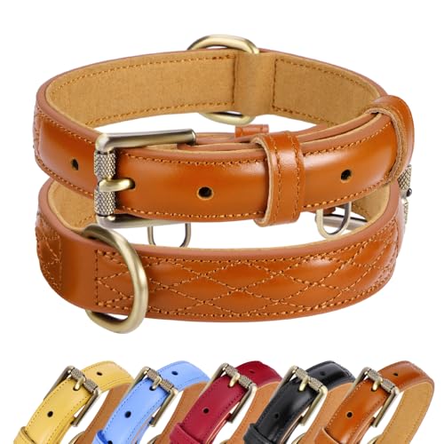 CHEDE Basic Classic Luxus-Hundehalsband, gepolstert, aus echtem Leder, strapazierfähig, weiches und starkes Lederhalsband mit Metallschnalle, breites Hundehalsband für große, mittelgroße und kleine CHEDE Basic Classic Luxus-Hundehalsband, gepolstert, aus echtem Leder, strapazierfähig, weiches und starkes Lederhalsband mit Metallschnalle, breites Hundehalsband für große, mittelgroße und kleine von chede