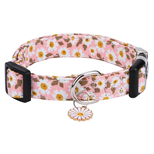 CHEDE Baumwoll-Hundehalsband für kleine, mittelgroße und große Hunde, Mädchen-Hundehalsband mit Schnellverschluss-Schnalle, Blumen, weich, verstellbar, Haustierhalsband (groß, rosa Gänseblümchen) von chede