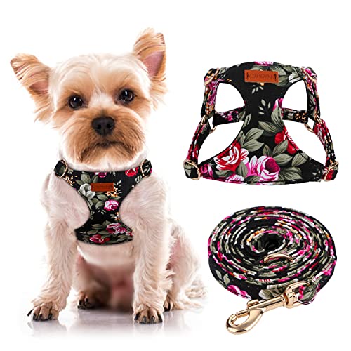 CHEDE Hundegeschirr, kein Ziehen, Blumenmuster, leichtes und weiches Hundegeschirr, verstellbares kleines Hundegeschirr und Leine, mit Hundeleine, kleine und mittelgroße Hunde (XS, schwarze Blume) von chede