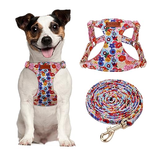 CHEDE Hundegeschirr mit Blumenmuster, leichtes und weiches Hundegeschirr, verstellbar, für kleine und mittelgroße Hunde, mit Hundeleine, geeignet für kleine und mittelgroße Hunde von chede