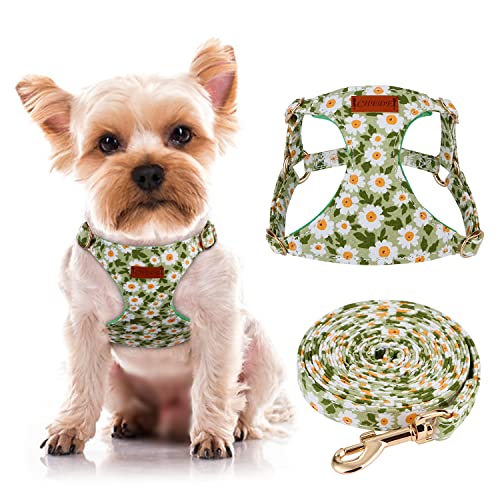 CHEDE Hundegeschirr mit Blumenmuster, leichtes und weiches Hundegeschirr, verstellbares kleines Hundegeschirr und Leine, geeignet für kleine und mittelgroße Hunde (XS, grünes Gänseblümchen) von chede