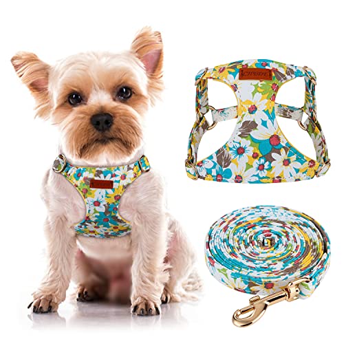 CHEDE Hundegeschirr mit Blumenmuster, leichtes und weiches Hundegeschirr, verstellbar, für kleine und mittelgroße Hunde, mit Hundeleine, geeignet für kleine und mittelgroße Hunde von chede